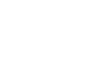 Flextronics